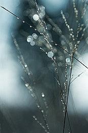 分析师称微软想收购日本工作室很困难 别多想了