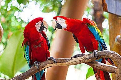 沉寂半年后 《黑暗之魂3》PC服务器似乎要上线了